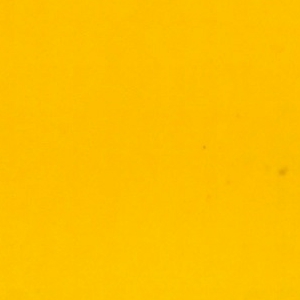 821-Pure Yellow