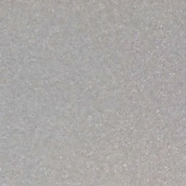 807-Champagne Sliver